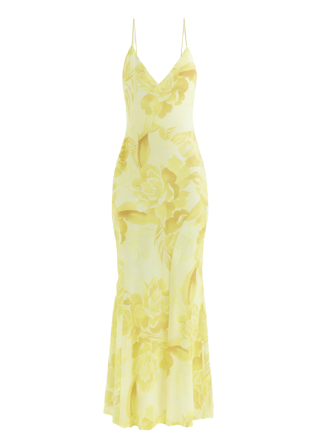 Kimberley Mesh Maxi Dress - Lemon Bloom