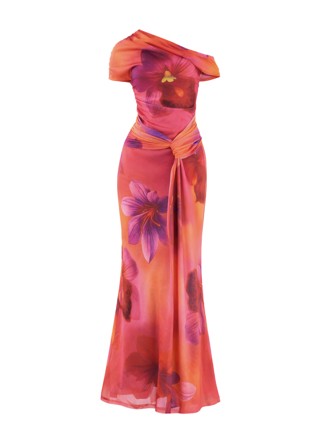 Monica Mesh Drop Shoulder Maxi Dress - Pink Floral