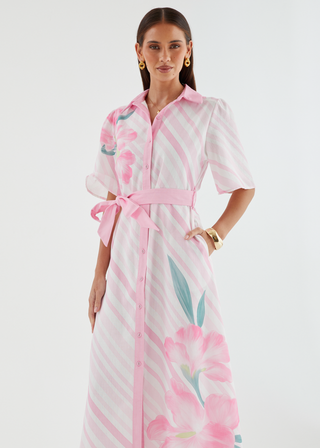 Debbi Maxi Dress - Pink Stripe