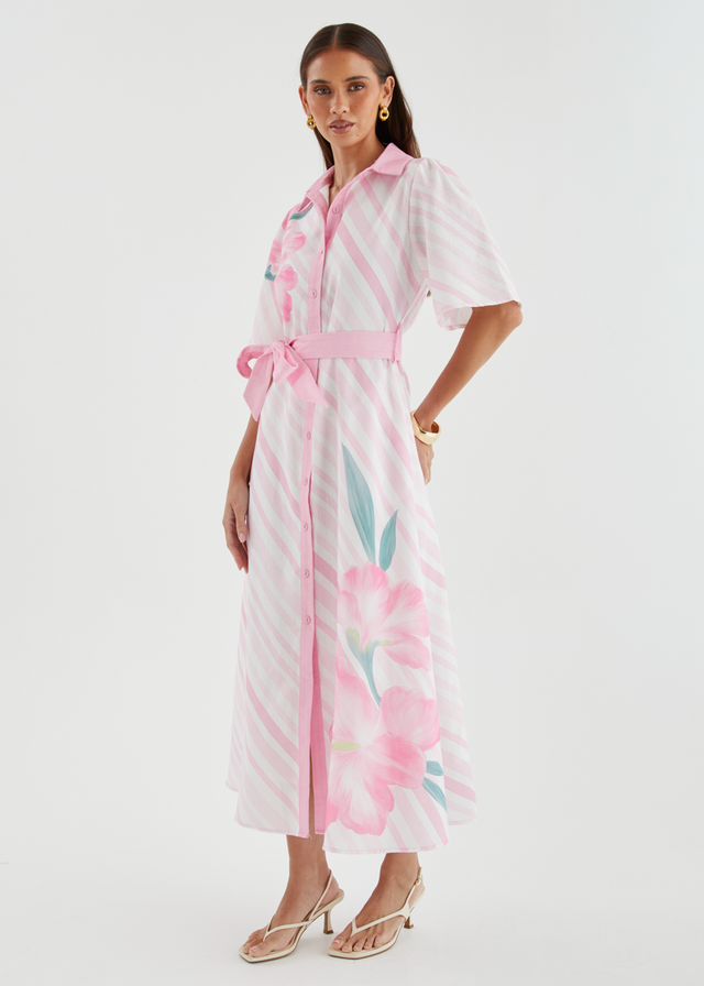 Debbi Maxi Dress - Pink Stripe