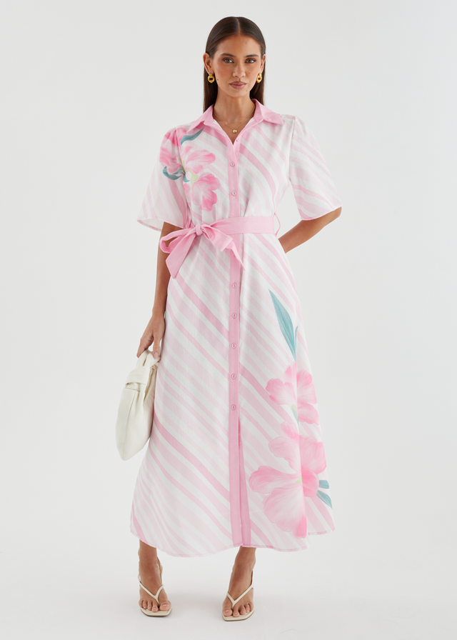 Debbi Maxi Dress - Pink Stripe