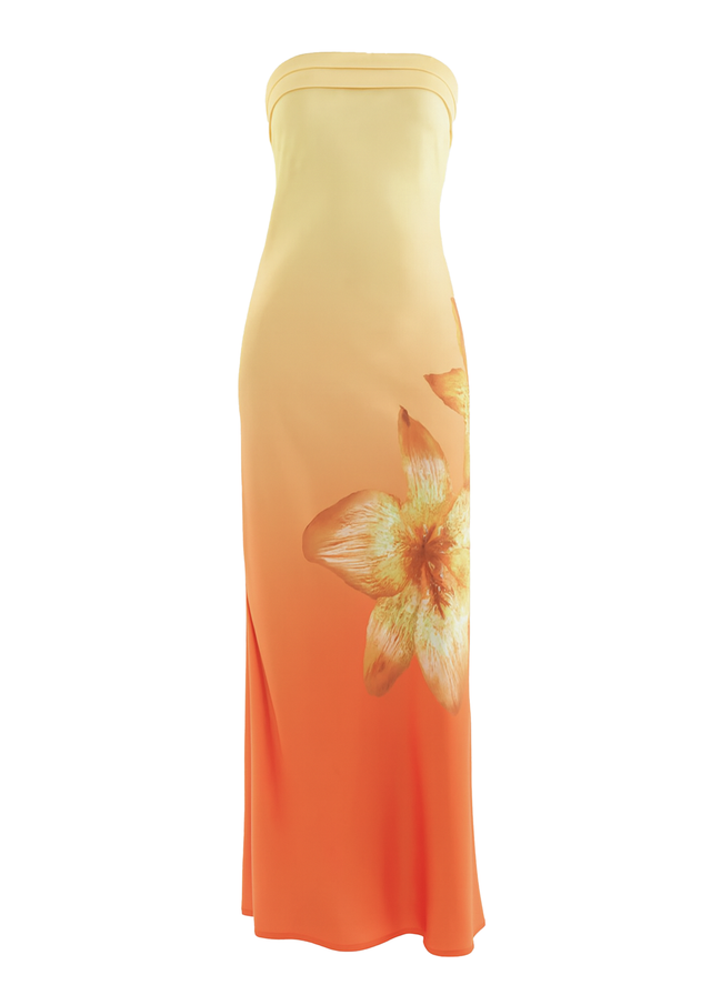 Jamie Strapless Maxi Dress - Sunrise Bloom
