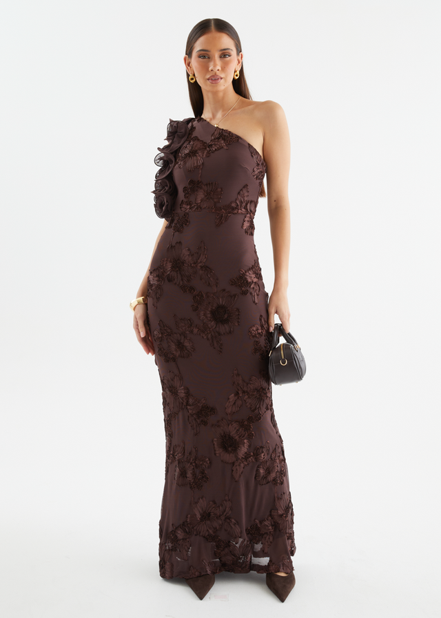 Taysia One Shoulder Mesh Maxi Dress - Chocolate