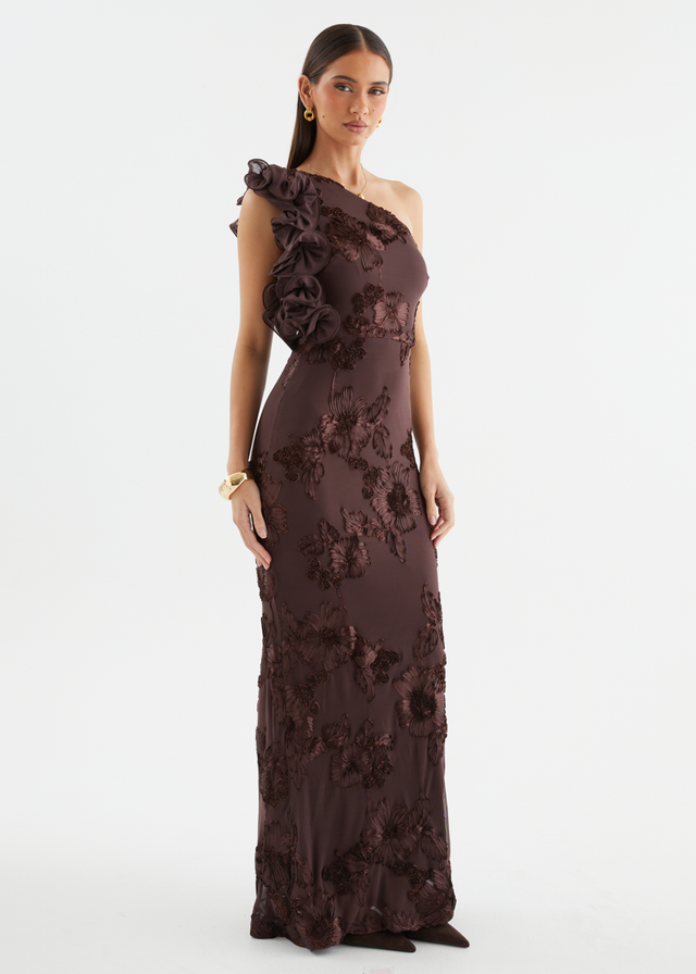 Taysia One Shoulder Mesh Maxi Dress - Chocolate