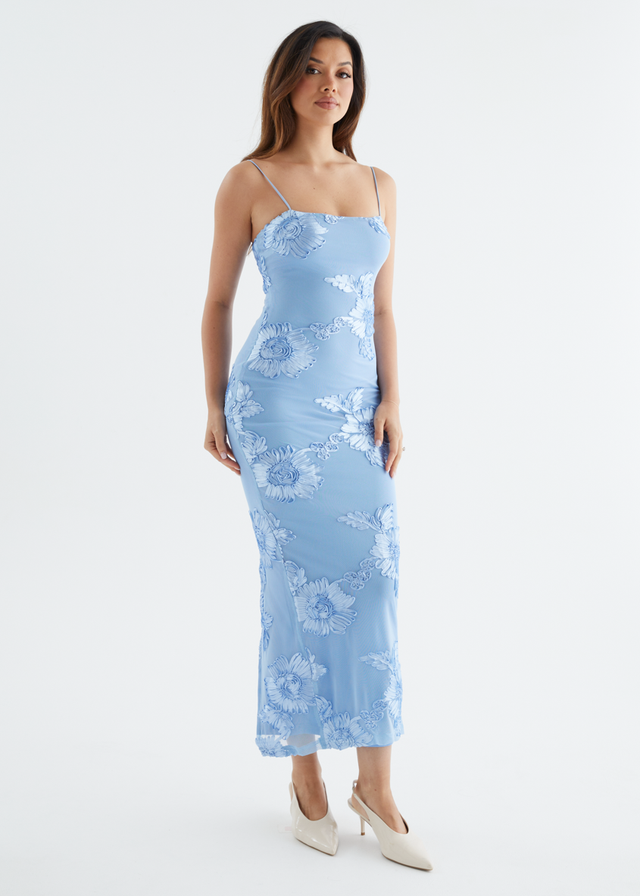 Teneile Mesh Maxi Dress - Blue