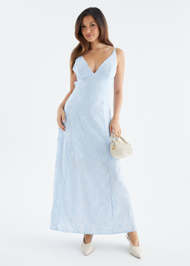 Elsa Embroidered Maxi Dress - Baby Blue