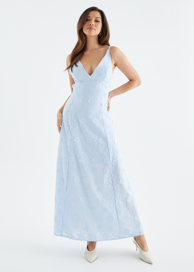 Elsa Embroidered Maxi Dress - Baby Blue