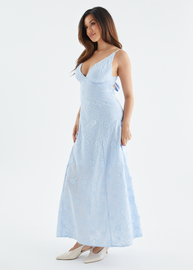 Elsa Embroidered Maxi Dress - Baby Blue