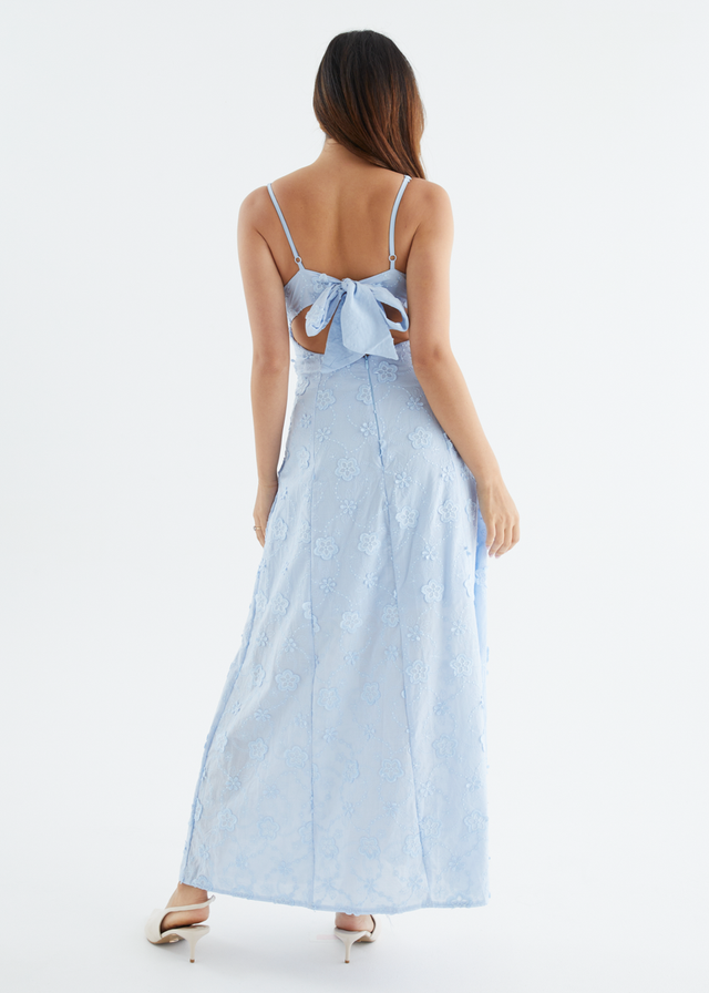 Elsa Embroidered Maxi Dress - Baby Blue