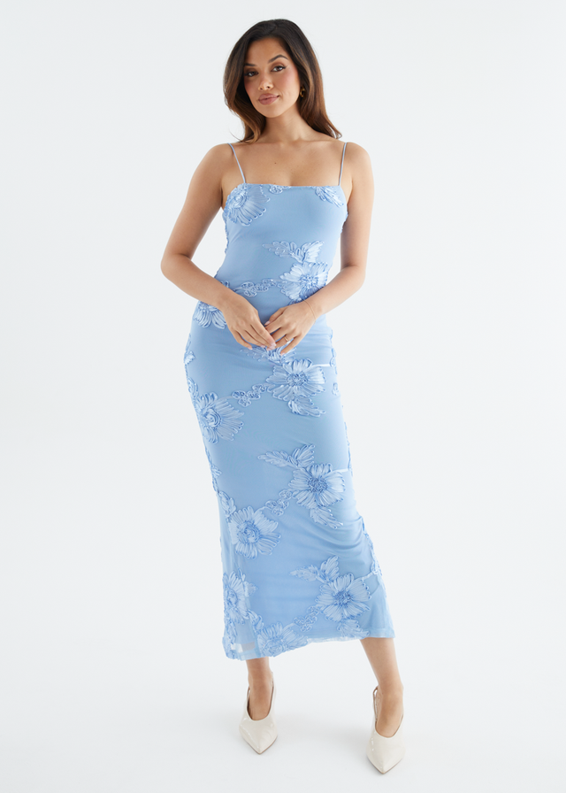 Teneile Mesh Maxi Dress - Blue