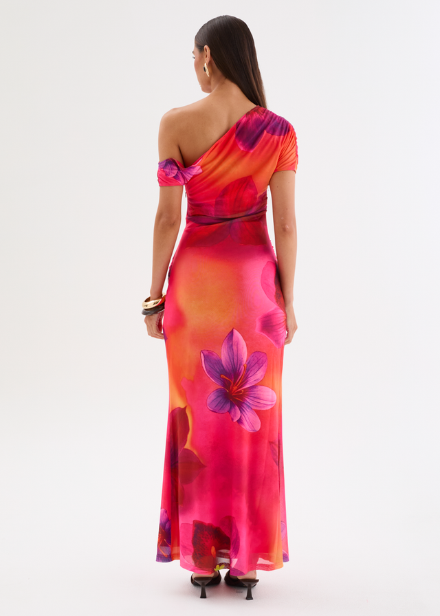 Monica Mesh Drop Shoulder Maxi Dress - Pink Floral