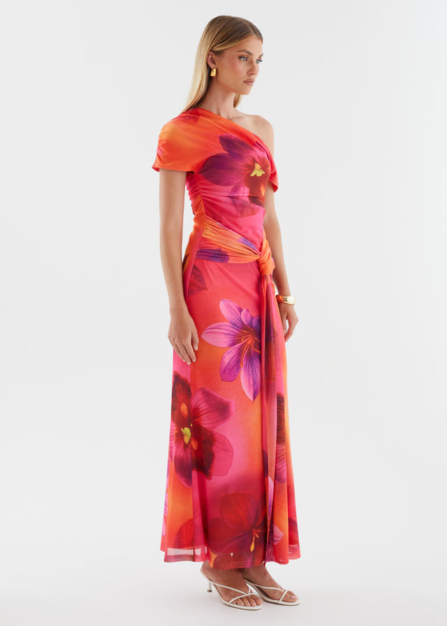 Monica Mesh Drop Shoulder Maxi Dress - Pink Floral