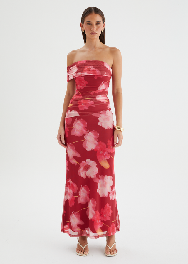 Allina Mesh Maxi Dress - Raspberry Floral