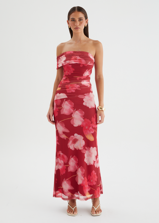 Allina Mesh Maxi Dress - Raspberry Floral