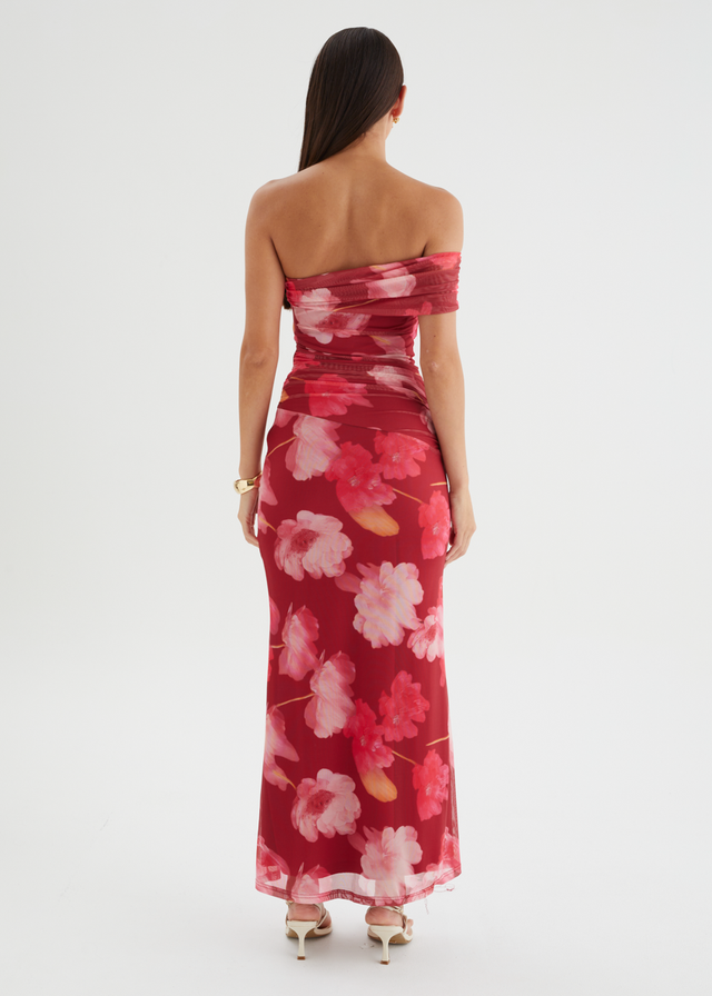 Allina Mesh Maxi Dress - Raspberry Floral