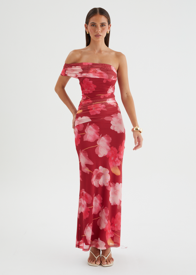 Allina Mesh Maxi Dress - Raspberry Floral
