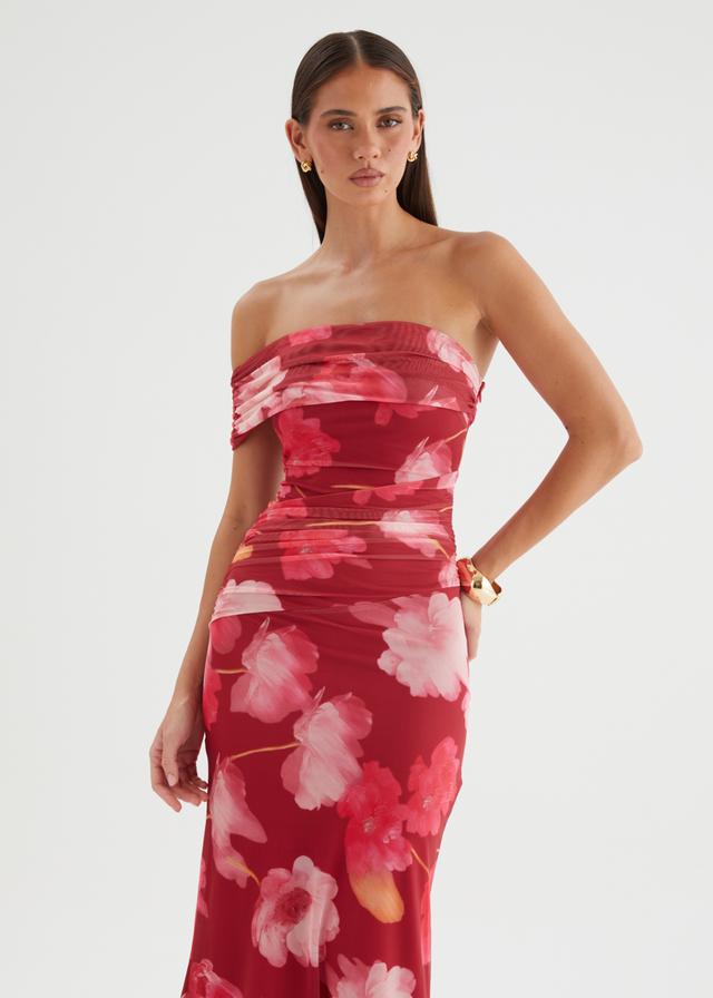 Allina Mesh Maxi Dress - Raspberry Floral