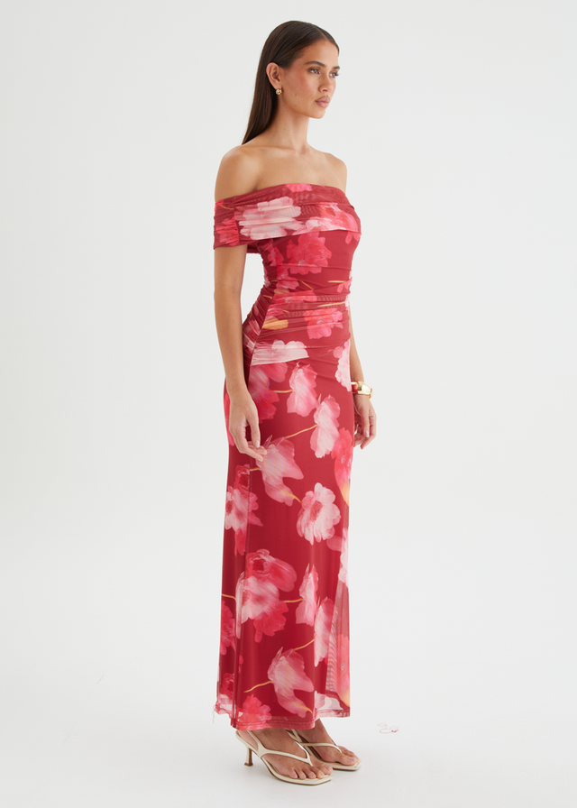 Allina Mesh Maxi Dress - Raspberry Floral