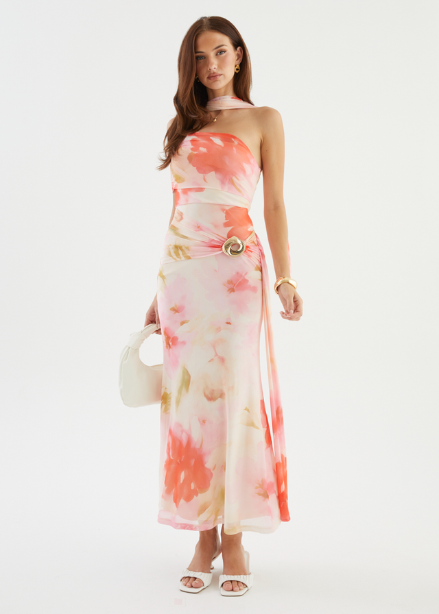 Shilah Mesh Maxi Dress - Blush Garden