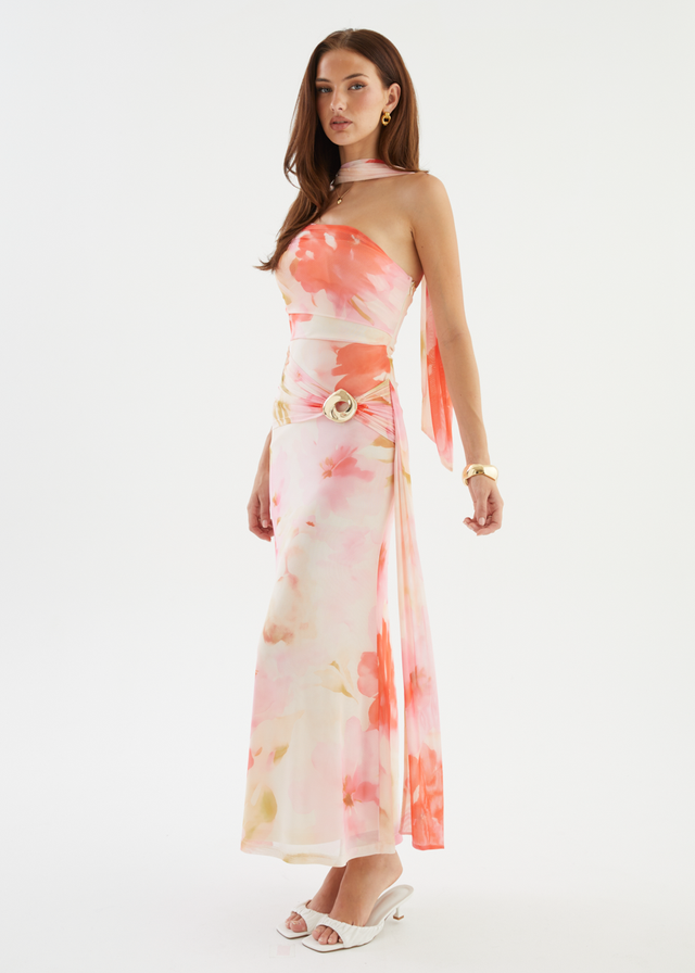 Shilah Mesh Maxi Dress - Blush Garden
