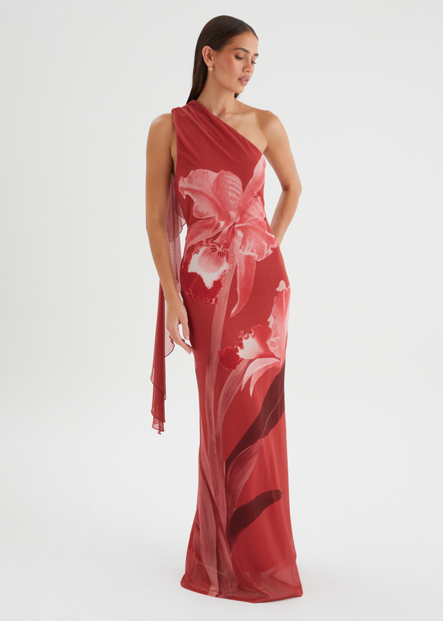 Anjy One Shoulder Mesh Maxi Dress - Strawberry Bloom