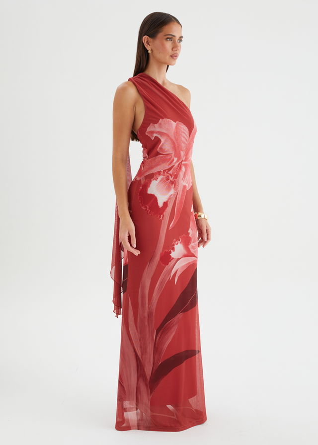 Anjy One Shoulder Mesh Maxi Dress - Strawberry Bloom