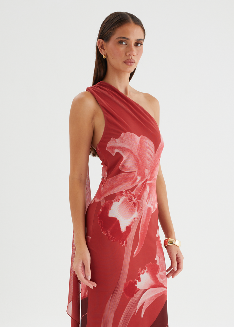 pink and red one shoulder dress Anjy One Shoulder Mesh Maxi Dress