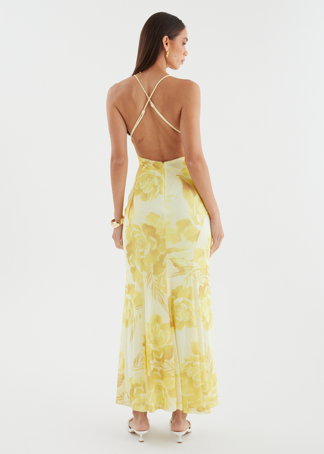 Kimberley Mesh Maxi Dress - Lemon Bloom