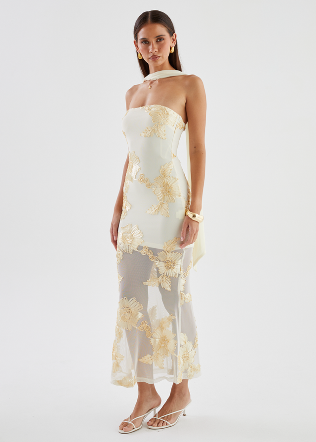 Elias Strapless Mesh Maxi Dress - Butter Embroidered