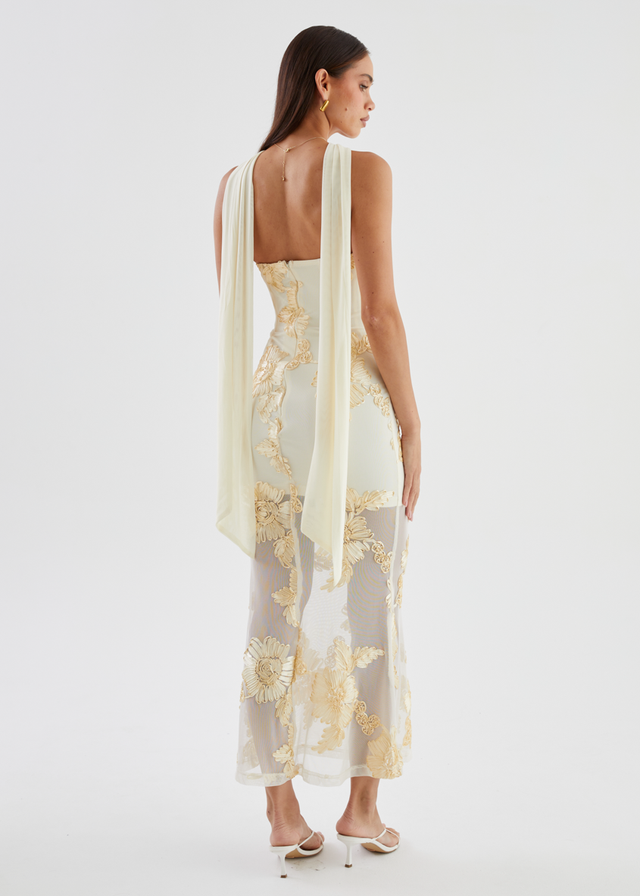Elias Strapless Mesh Maxi Dress - Butter Embroidered