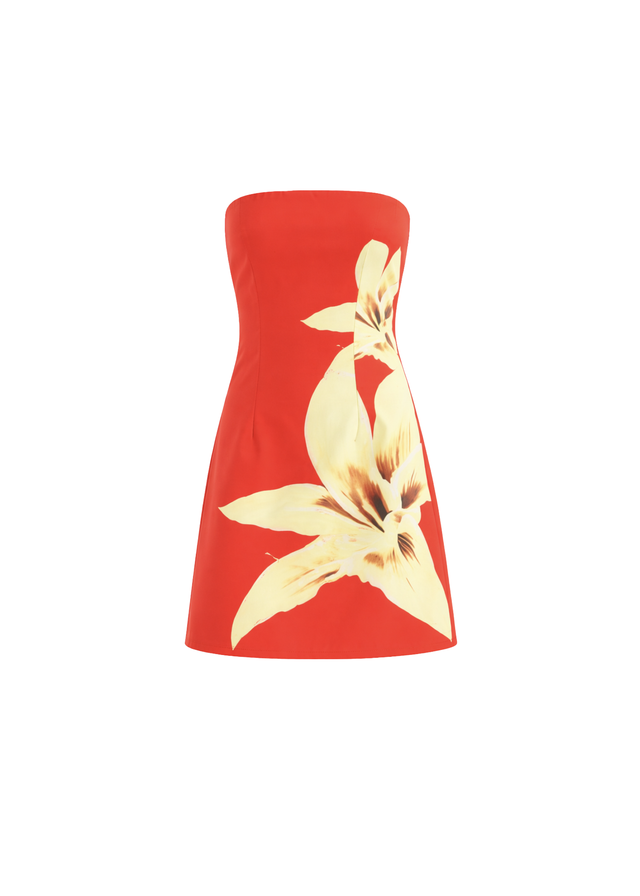 Jordi Strapless Dress - Red Lily
