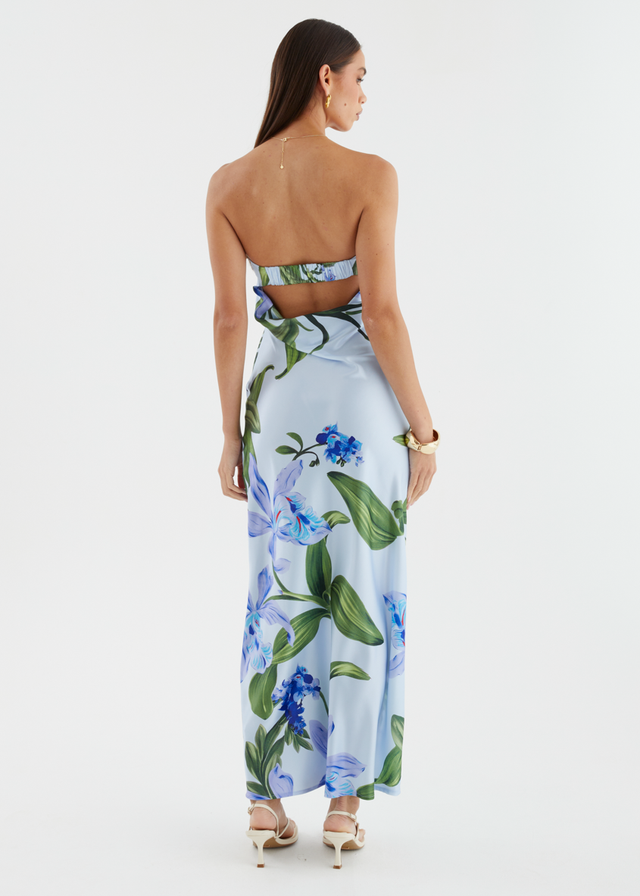 Jamie Strapless Maxi Dress - Blue Floral