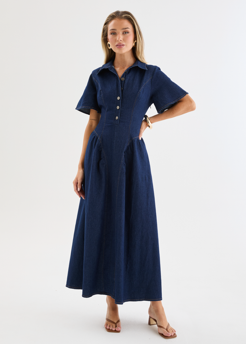 Eunice Denim Maxi Dress