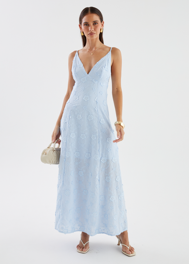 Elsa Embroidered Maxi Dress - Baby Blue