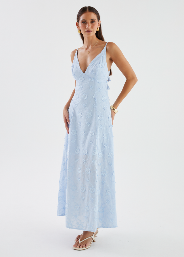Elsa Embroidered Maxi Dress - Baby Blue