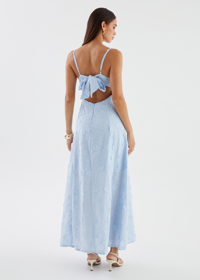 Elsa Embroidered Maxi Dress - Baby Blue
