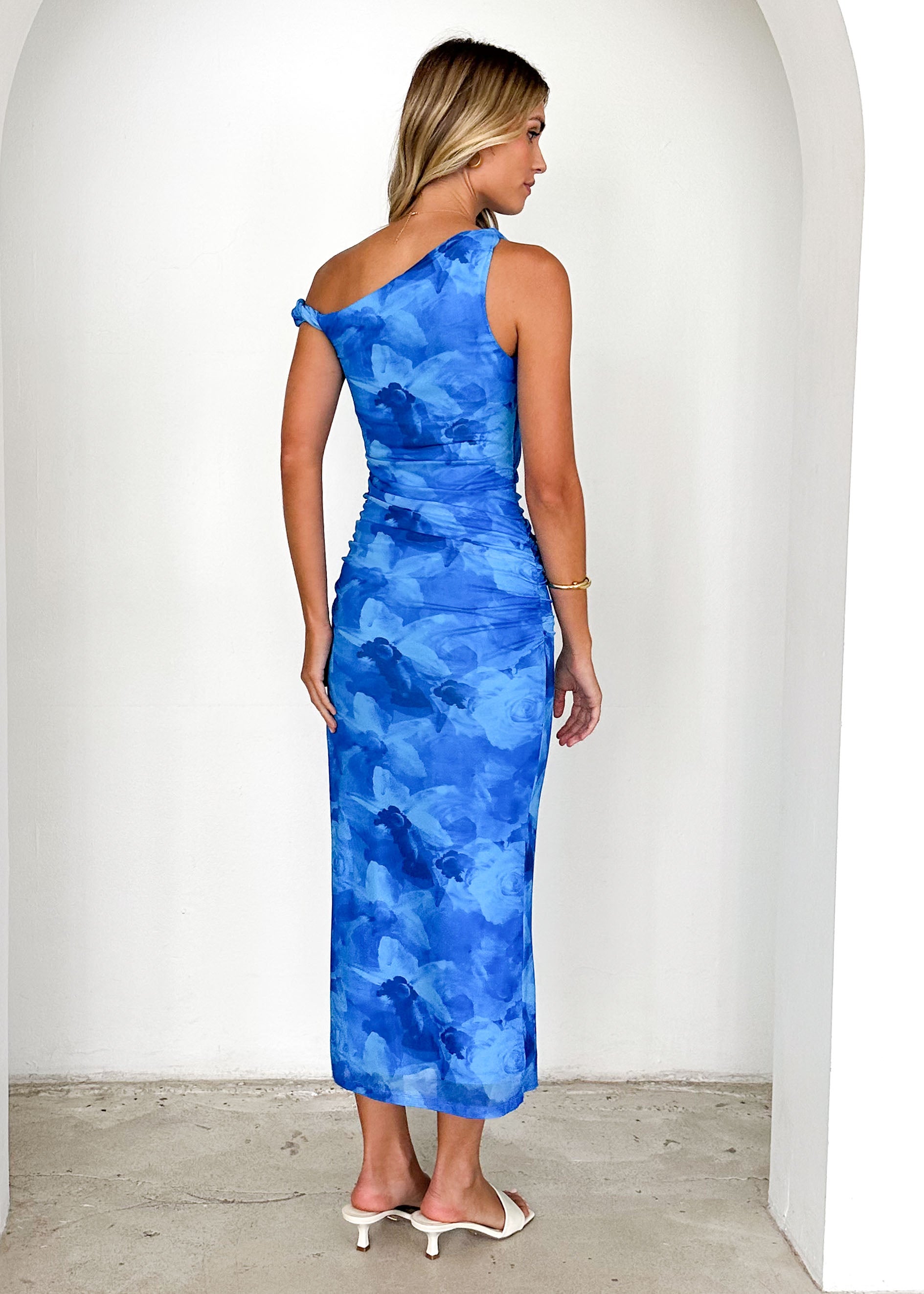 Darbie Mesh Maxi Dress - Blue Flowers