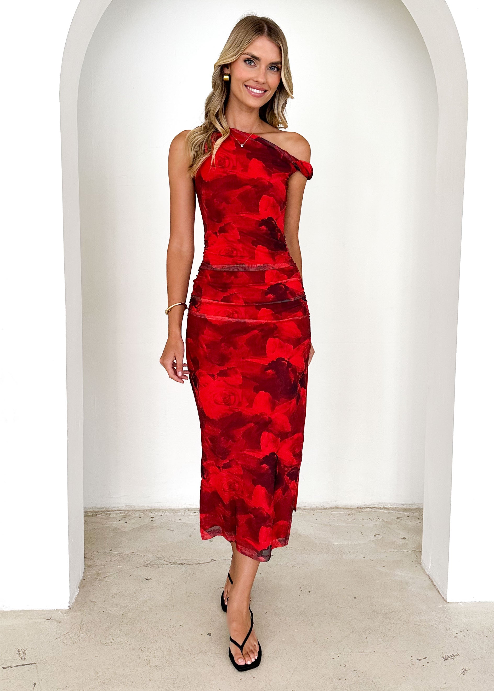 Darbie Mesh Maxi Dress - Red Flowers