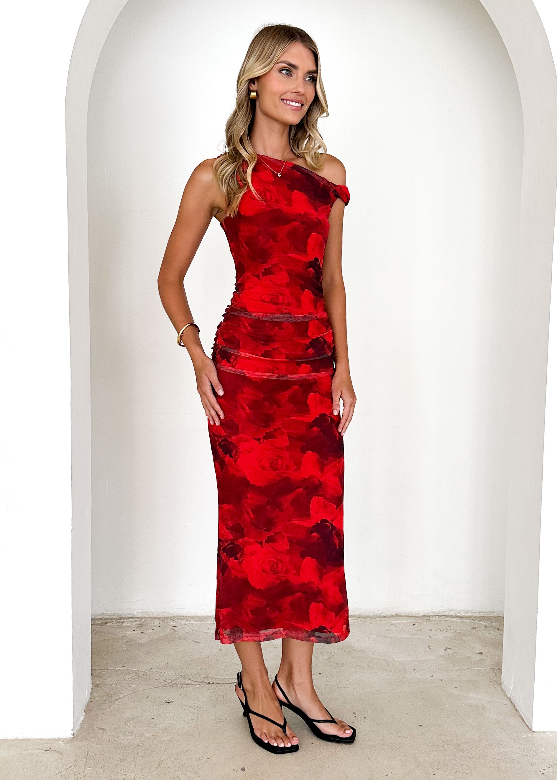 Darbie Mesh Maxi Dress - Red Flowers