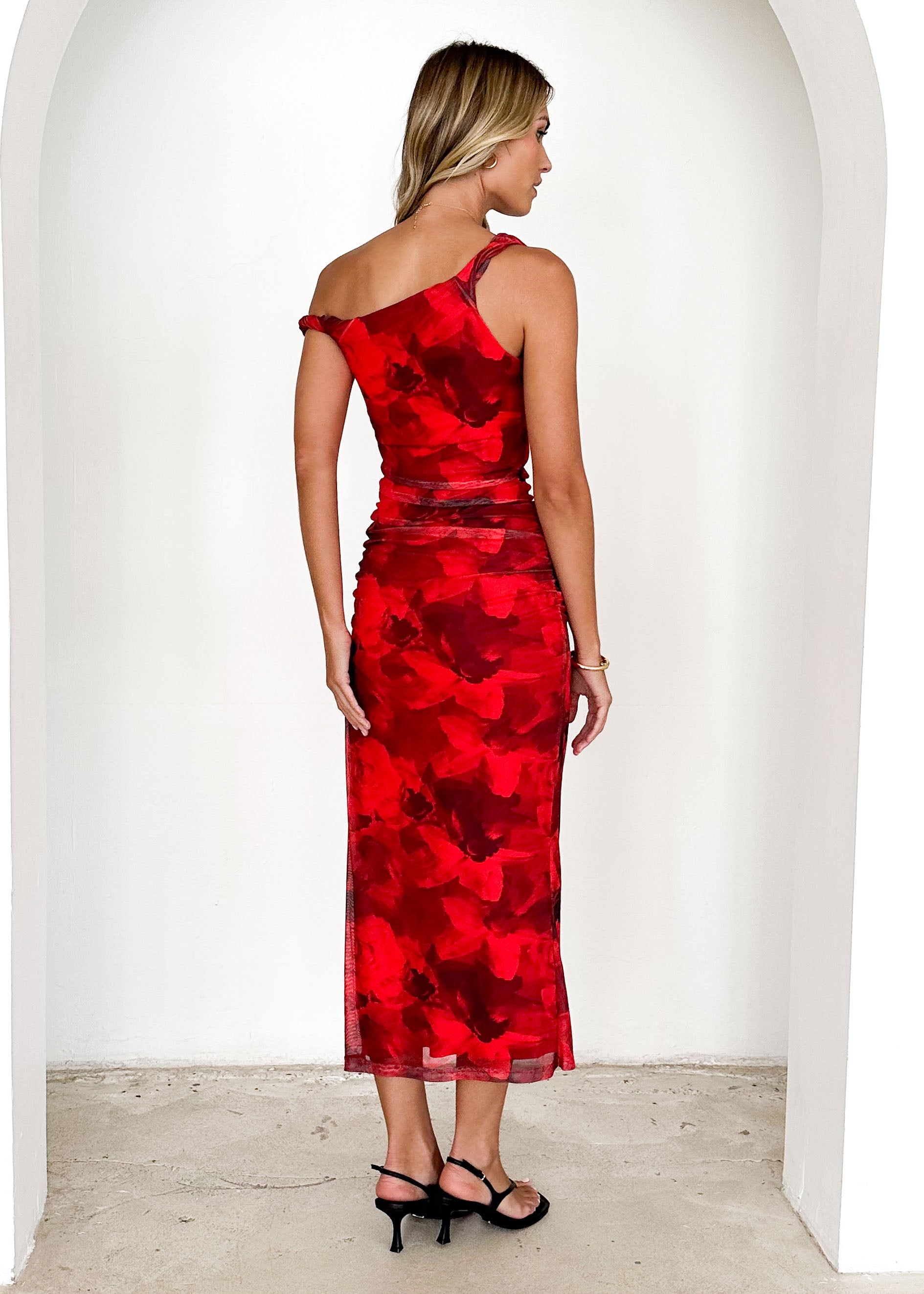 Darbie Mesh Maxi Dress - Red Flowers