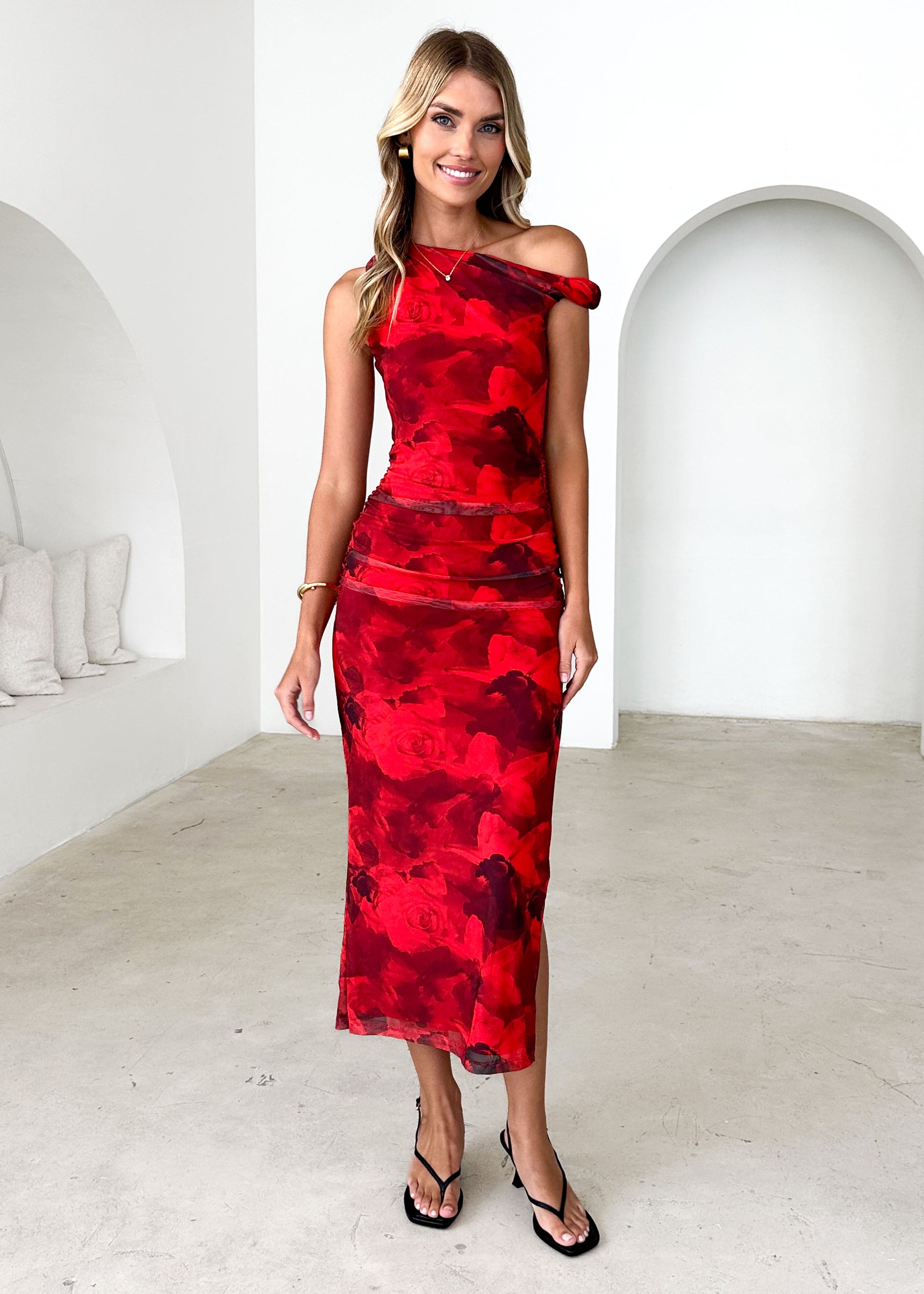 Darbie Mesh Maxi Dress - Red Flowers