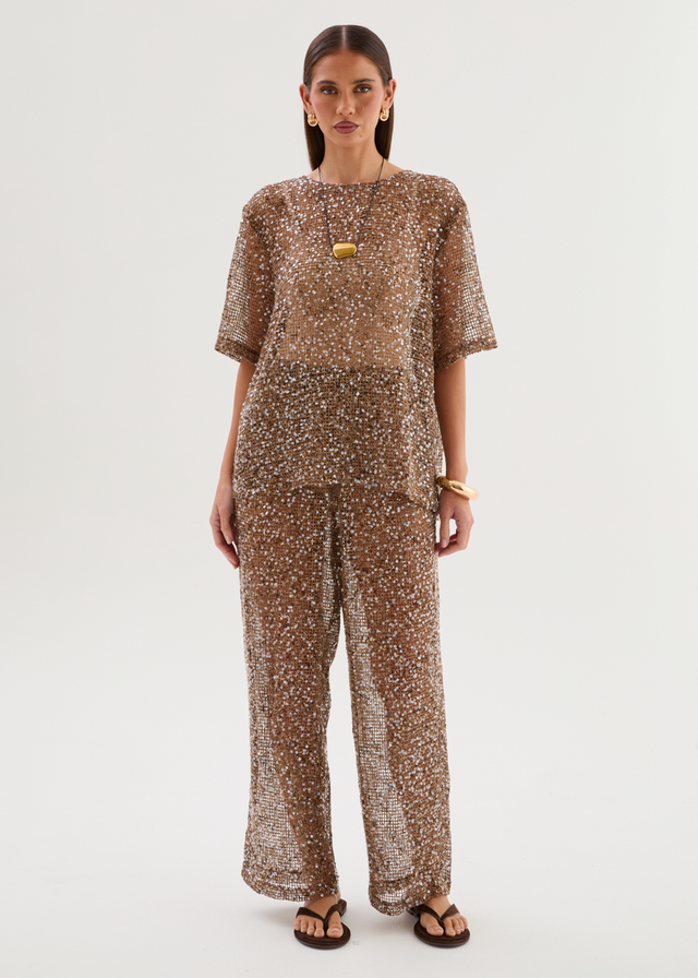Zakaria Sequin Mesh Pants - Chocolate