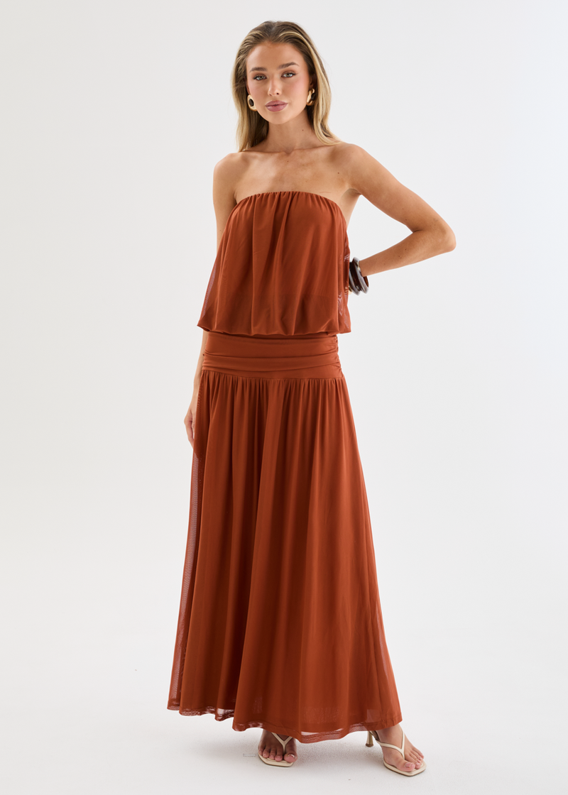 jainey maxi dress Janey Strapless Mesh Maxi Dress