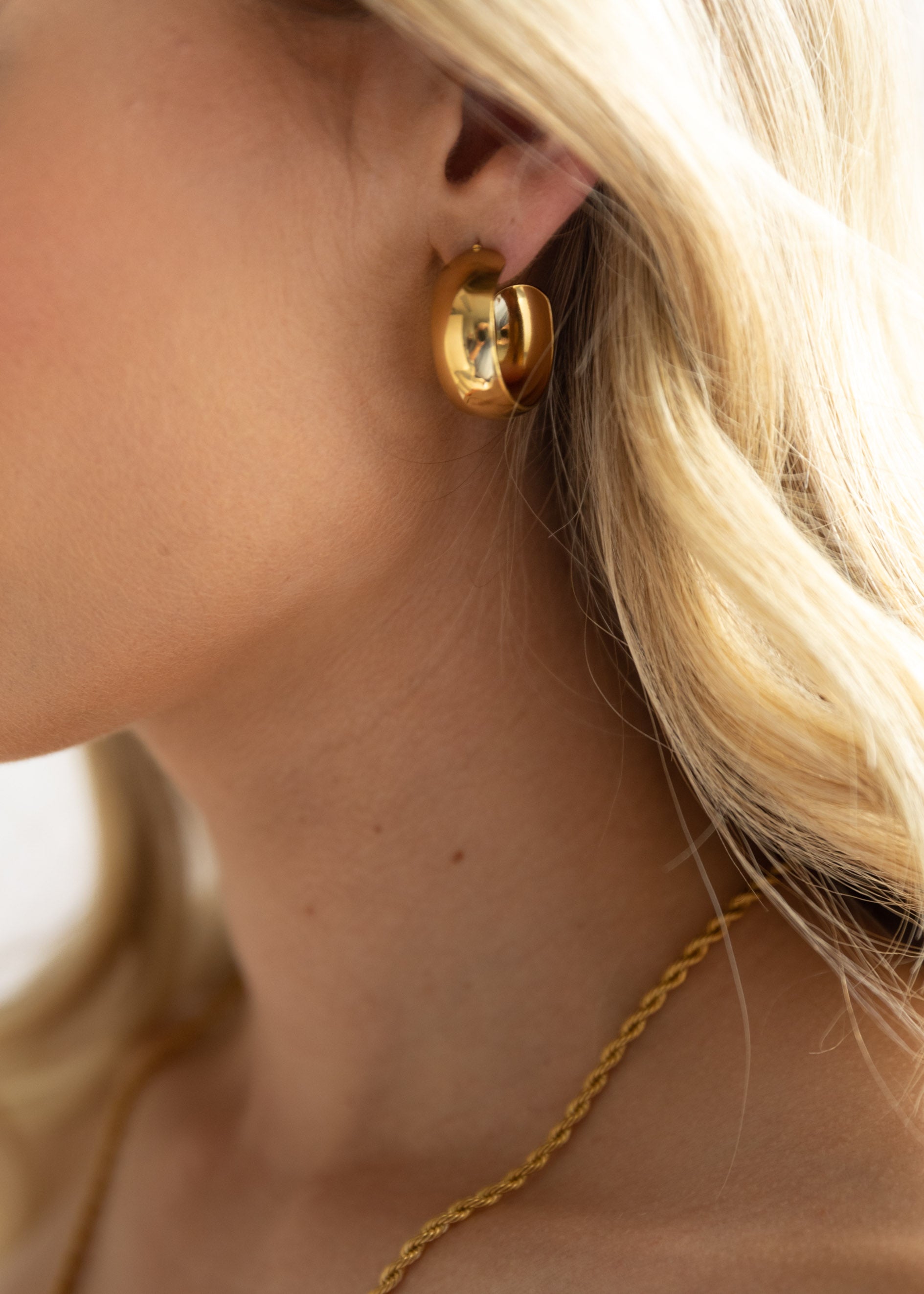 Lennox Gold Plated Earrings - Gold